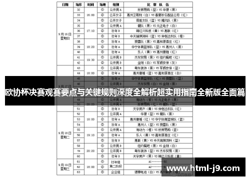 欧协杯决赛观赛要点与关键规则深度全解析超实用指南全新版全面篇