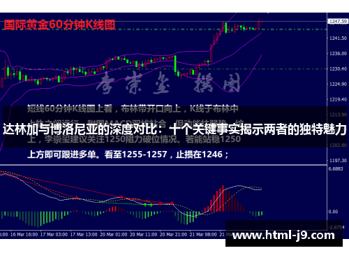 达林加与博洛尼亚的深度对比：十个关键事实揭示两者的独特魅力