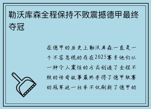 勒沃库森全程保持不败震撼德甲最终夺冠 勒沃库森全程保持不败震撼德甲最终夺冠